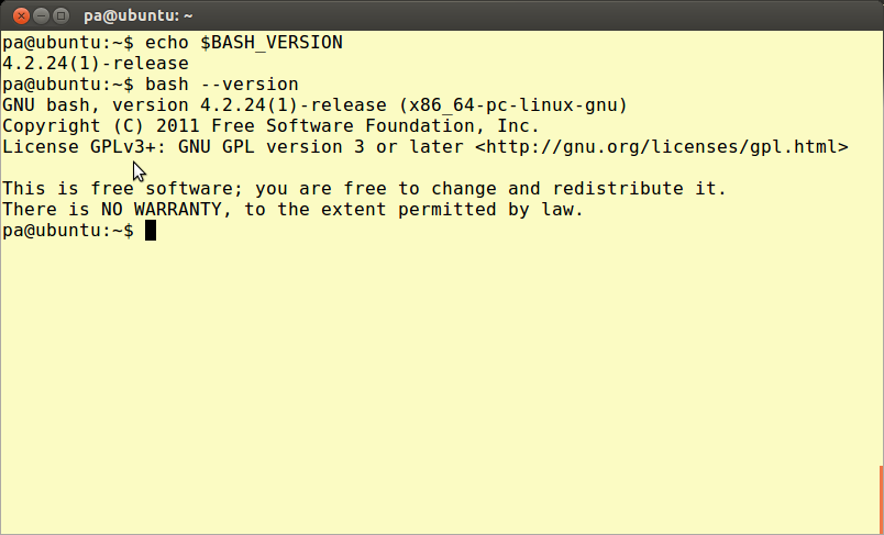 Figure 1: Terminal with interactive Bash session